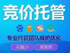 公司競價(jià)